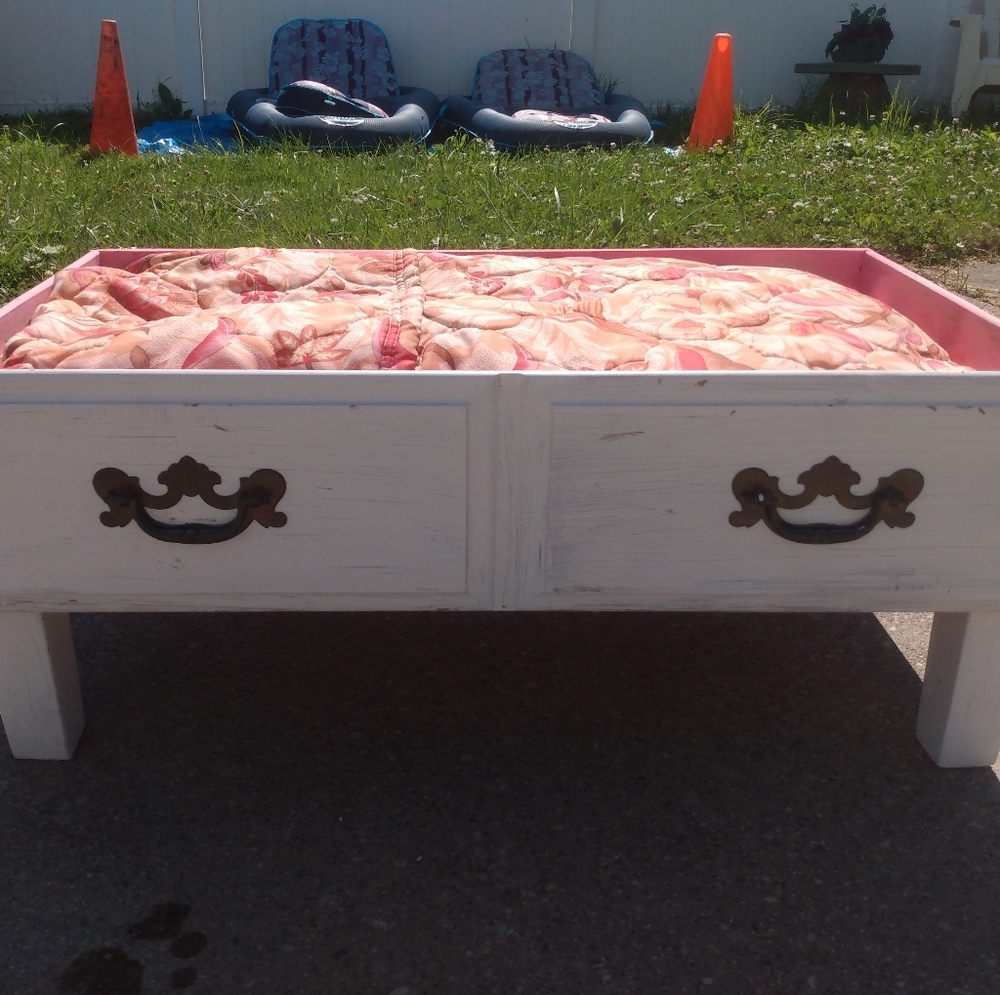Dog bed